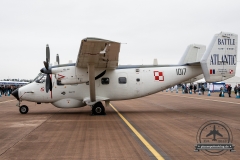 20170715_RIAT17_0020