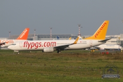 TC-AAN Pegasus B737-800 Wall Lineup