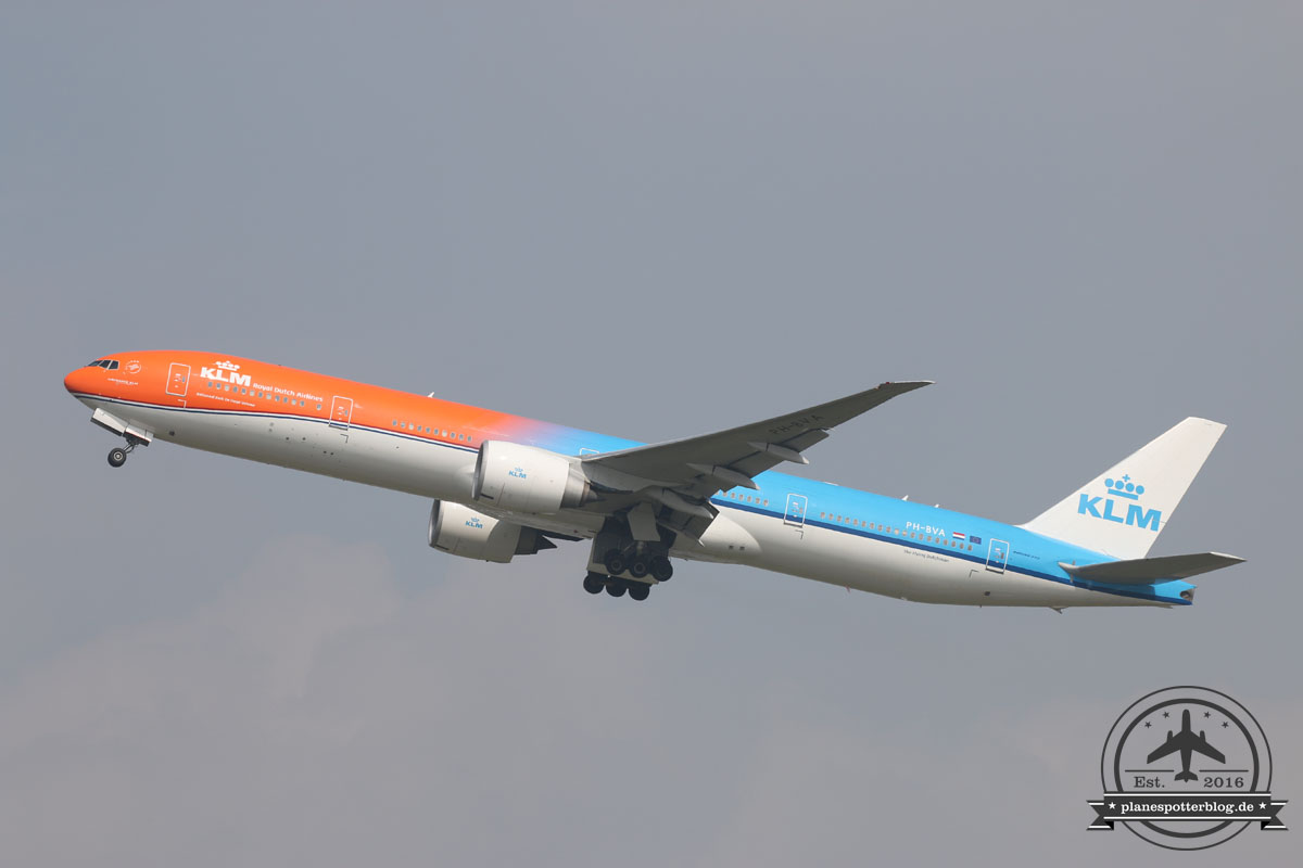 AMS